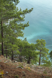 Similar image 22050844