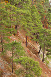 Similar image 22042327