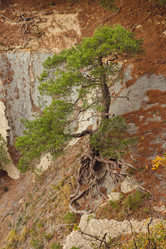 Similar image 22042332