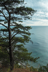 Similar image 22042335