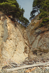 Similar image 22042336