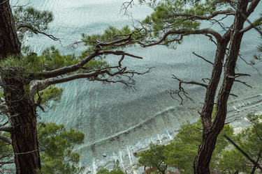 Similar image 22042337