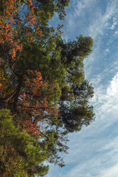 Similar image 22042338