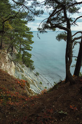 Similar image 22050848