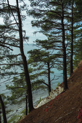 Similar image 22042342