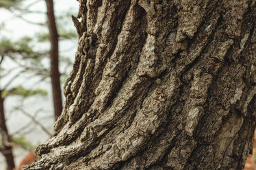 Similar image 22042344