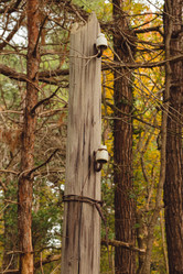 Similar image 22042345