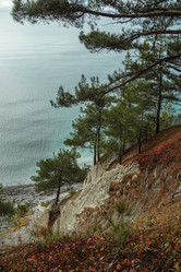 Similar image 22042346