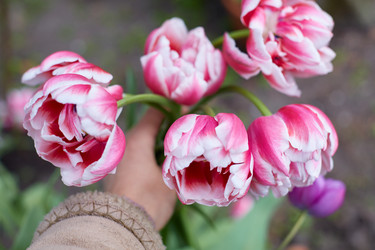 Similar image 22041269