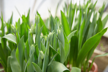 Similar image 22041276