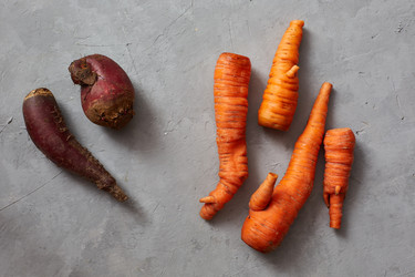 Similar image 22041278