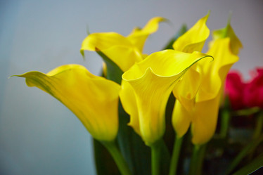 Similar image 22041280