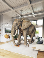 Similar image 22041216