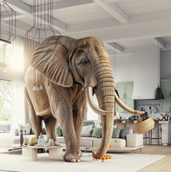 Similar image 22041224