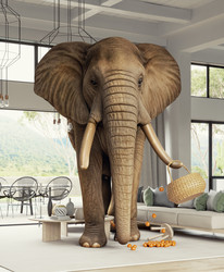 Similar image 22041226