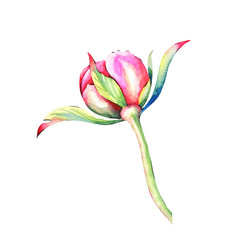 Similar image 22041582