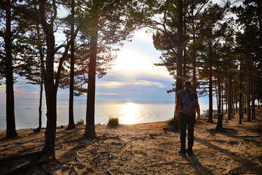 Similar image 22049660