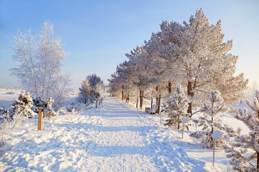 Similar image 22049674