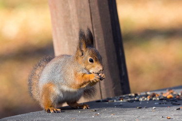 Similar image 22043749