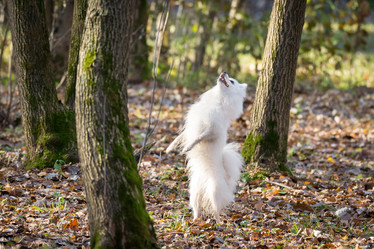 Similar image 22043767