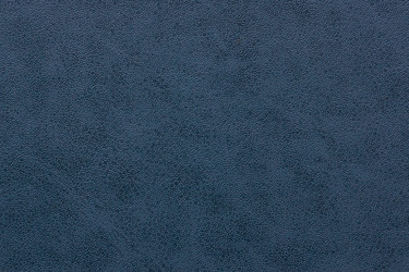 Similar image 22043319