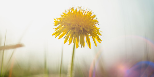 Similar image 22042358