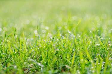 Similar image 22042359