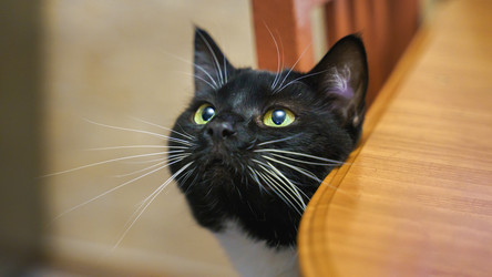 Similar image 22042362