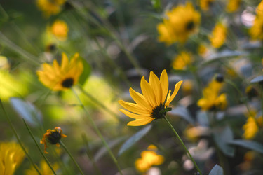 Similar image 22042364