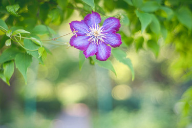 Similar image 22042365