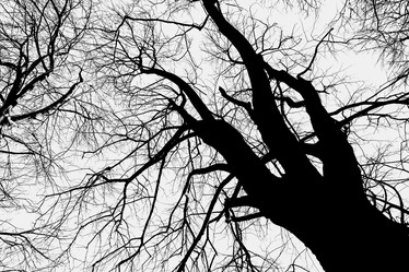 Similar image 22042366