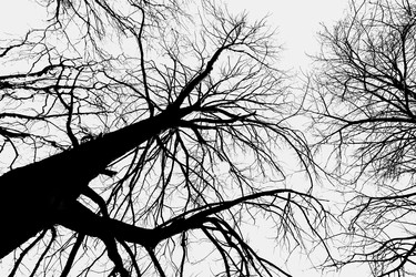 Similar image 22042367