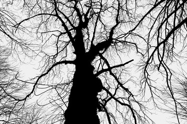 Similar image 22042368