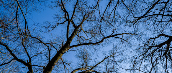 Similar image 22042369