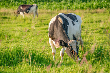 Similar image 22042370