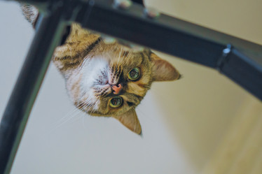 Similar image 22042377