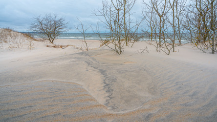 Similar image 22042382