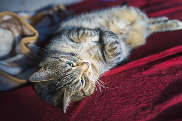 Similar image 22042425