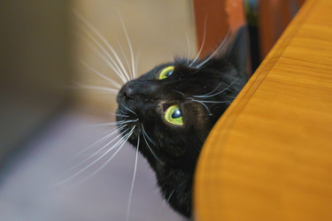 Similar image 22042430