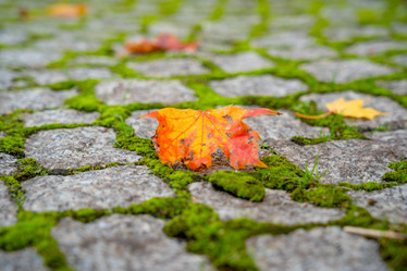 Similar image 22042432