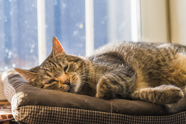 Similar image 22042438