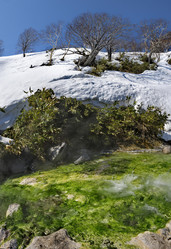 Similar image 22041882