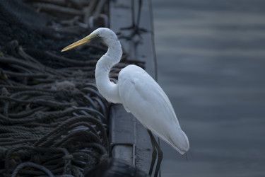 Similar image 22041965