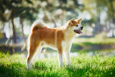 Similar image 22042148