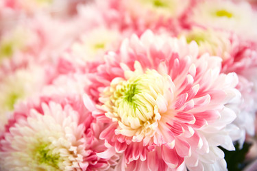 Similar image 22041328