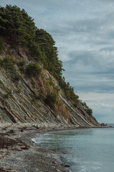 Similar image 22042253