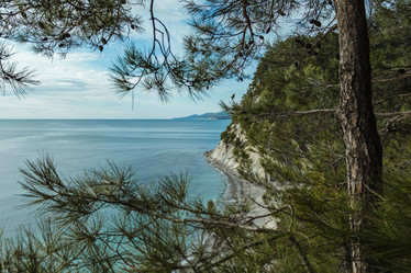 Similar image 22042255