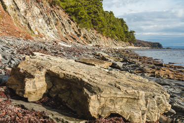 Similar image 22042256