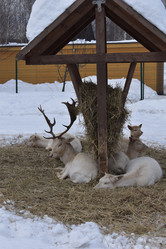 Similar image 22045657