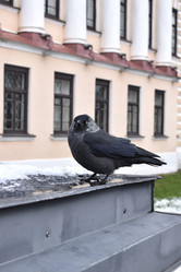 Similar image 22045658